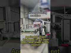 Máquina de termoformado al vacío de control PLC para materiales degradables Profundidad máxima de formación 180 mm