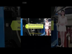 Máquina para fabricar platos y vasos desechables de plástico de alta eficiencia y ahorro de energía