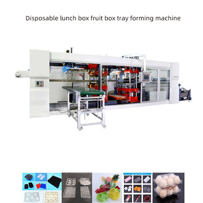 Plastico comercial Ps Máquina automática de formación al vacío de plástico para envases de alimentos