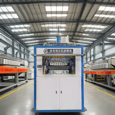 Control PLC Máquina de termoformado de plástico totalmente automática para la fabricación de tazas de ampollas