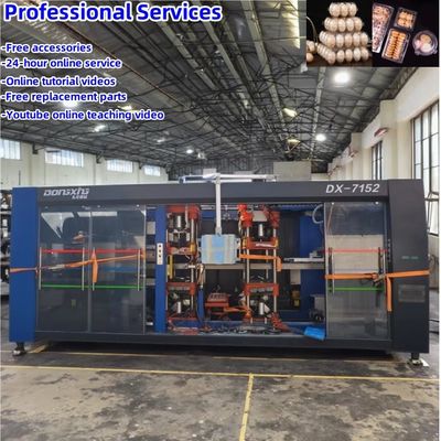 Máquina de fabricación de bandejas de huevos de plástico industrial usado Máquina de termoformado de plástico de alta automatización
