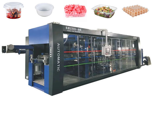 Máquina de termoformado de bandejas de plástico totalmente automática de 710 mm de longitud para recipientes de plástico desechables