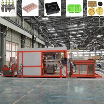 Máquinas para moldear con vacío de plástico totalmente automáticas
