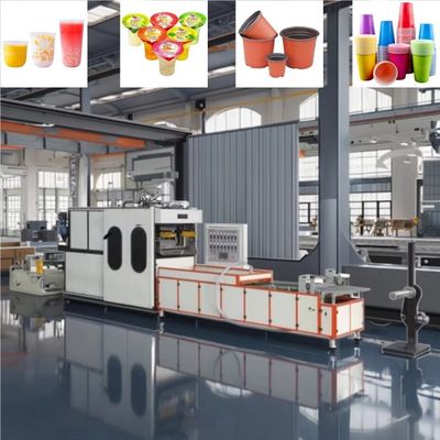 Máquina de moldear tazas de plástico totalmente automática