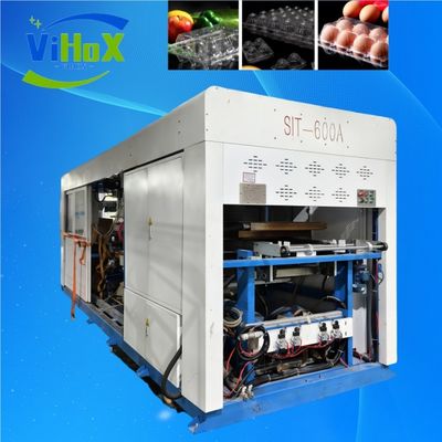 Máquina de termoformado de bandejas de plástico de alimentos eficientes