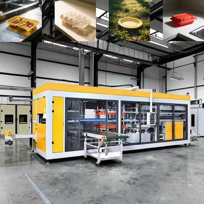 Máquina termoformadora de cajas para llevar de plástico totalmente automática