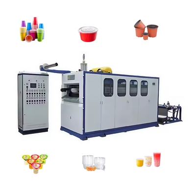 Máquina para hacer vasos de gelatina de plástico de alta eficiencia Máquina de termoformado de plástico