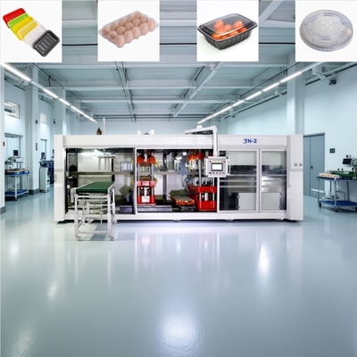 Máquina para fabricar bandejas de huevos de plástico controlada por PLC