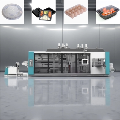 Máquina de termoformado de plástico totalmente automatizada para envases de alimentos